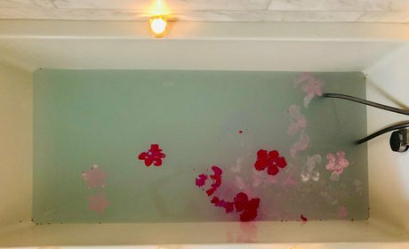 stellamuse onlyfans nude pics