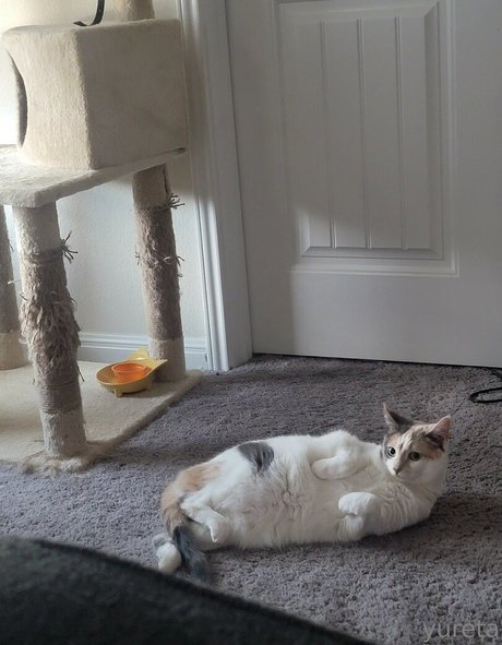 gay oral onlyfans best still