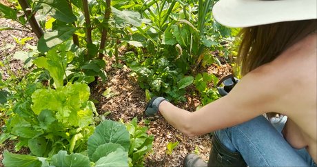 The Naked Gardener onlyfans leaks xxx