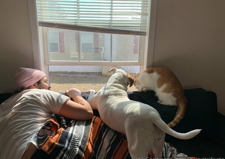 tantalizingtrifecta only fans content