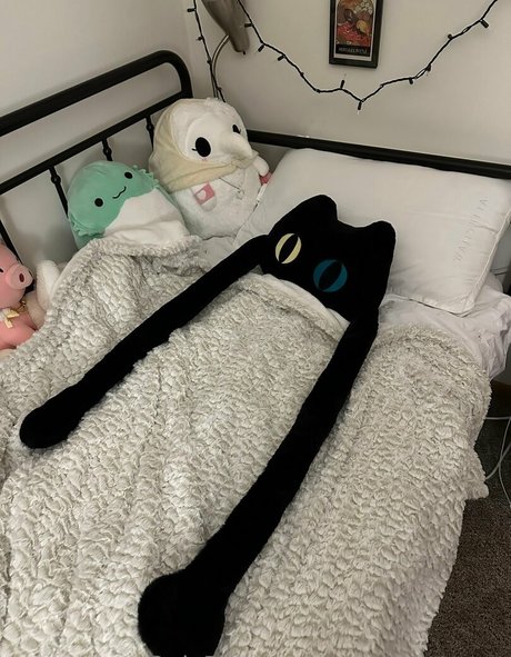 sleepy raccoon onlyfans posts