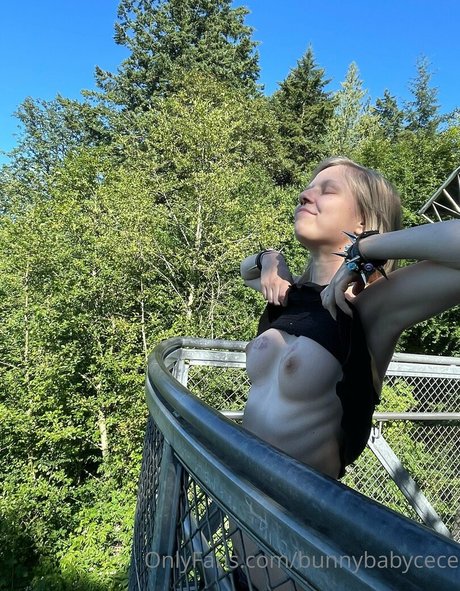 Bunnybabycece porn onlyfans