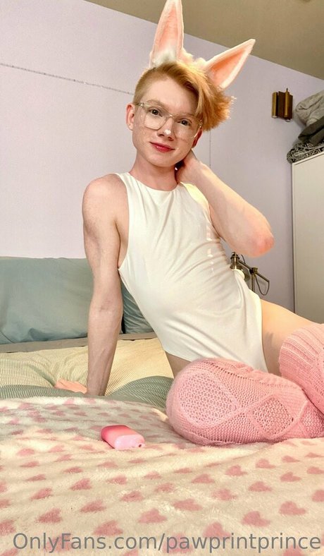 Pawprintprince only fans leaked