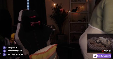 ASMR Darling onlyfans leaks.