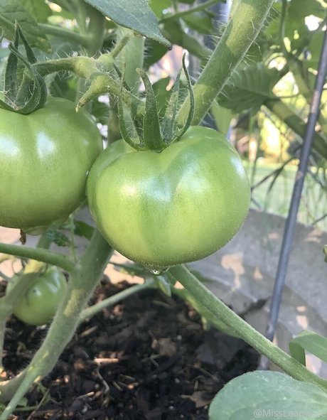 emo femboy onlyfans art naked visuals