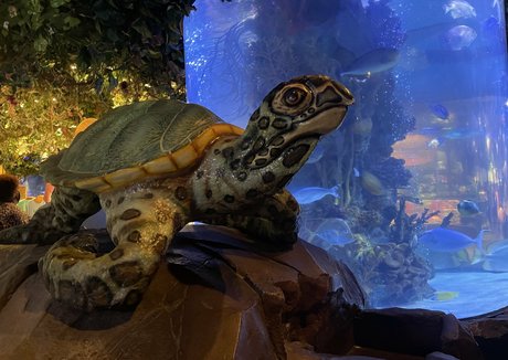 mistylovelace leaked only fans porn