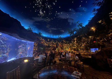 mistylovelace onlyfans sexy