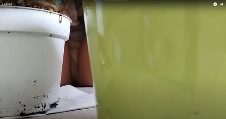 Maria Bonita porn leaked onlyfans