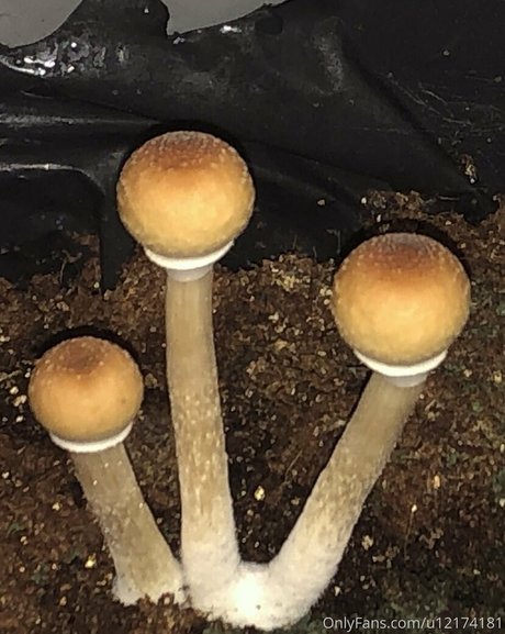 peacheyscreams leaked only fans porn