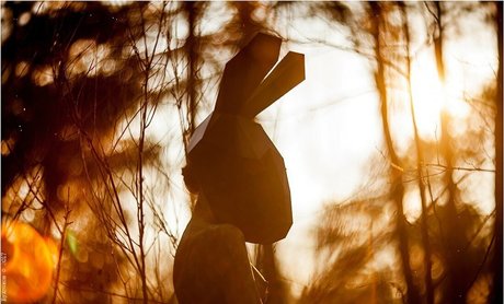 Oheekolts onlyfans archives