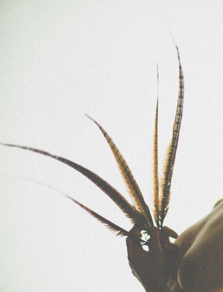 simonsaysarah onlyfans leak free