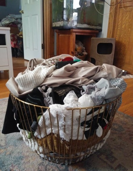 chloe loves attention free only fans