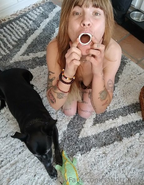 sandtripper Profile pic