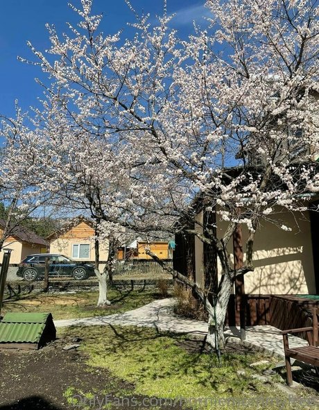 taya bliss only fans