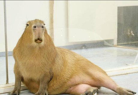 yenyenuwu sex onlyfans