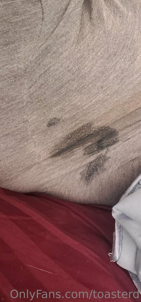 toasterd onlyfans public photos