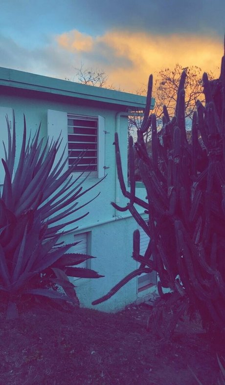 ravenhex3 onlyfans leaks nude