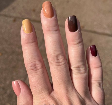 bourbonloverofwisco onlyfans leak sex