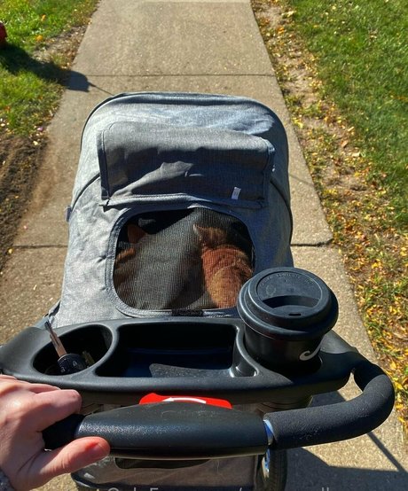 xxsacredhoneyxx nude porn onlyfans