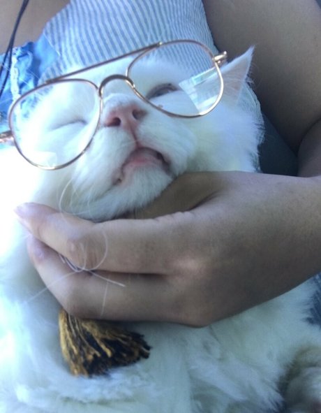 bsyk9294 onlyfans leaked nudes