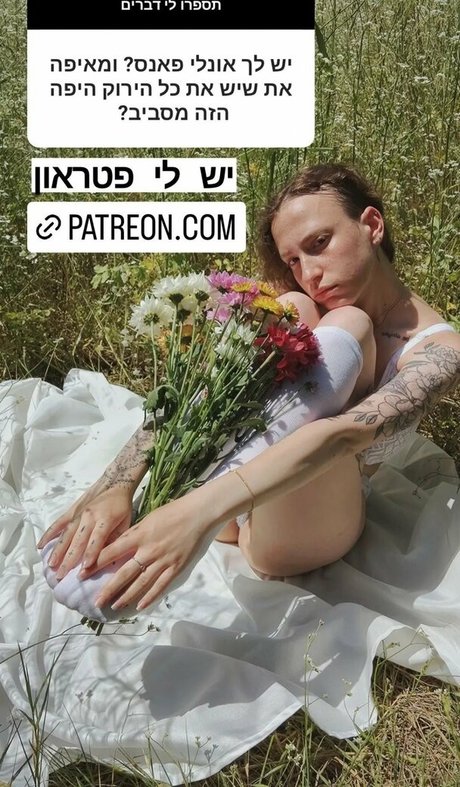 celebrity gay onlyfans adult gallery