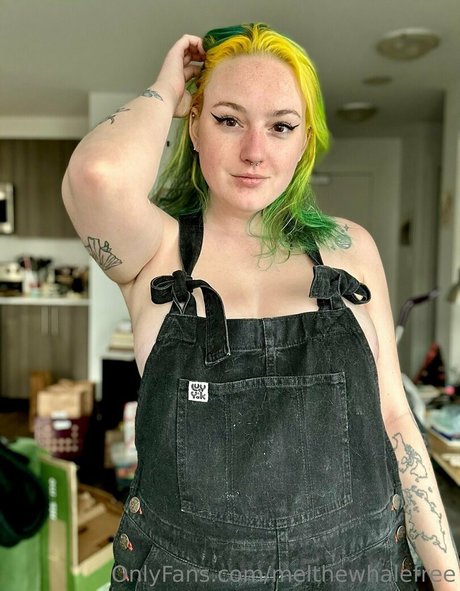 melthewhalefree onlyfans leak free