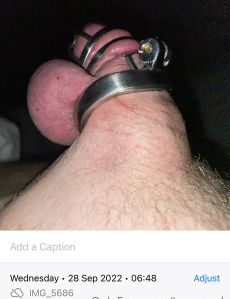 teamcuck free only fans