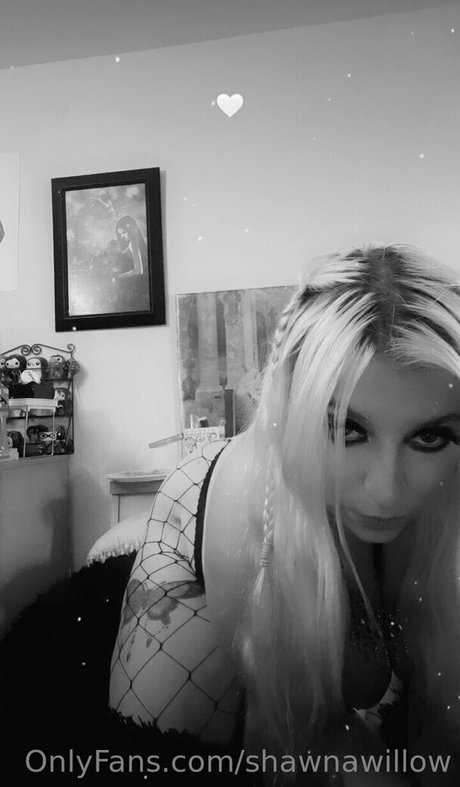 shawnawillow leaked onlyfans content