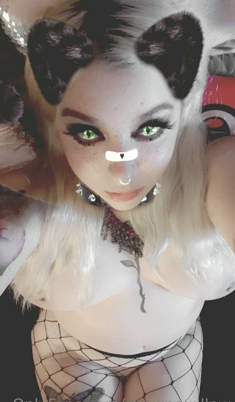 shawnawillow onlyfans desnuda