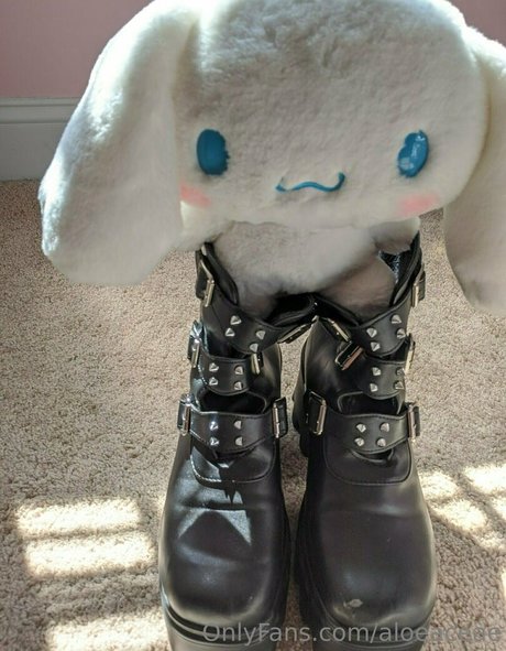 aloeaceae tits onlyfans