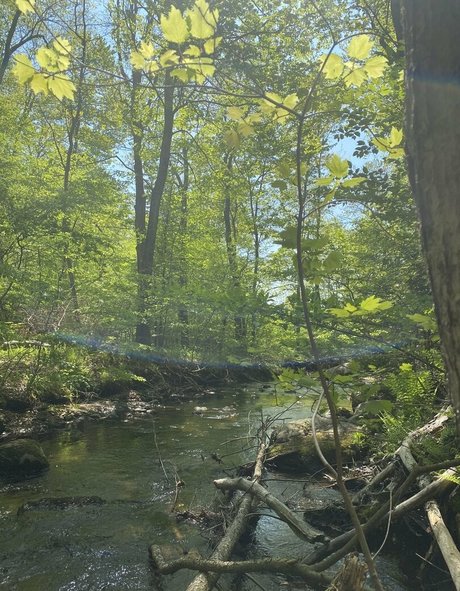 aloeaceae topless onlyfans