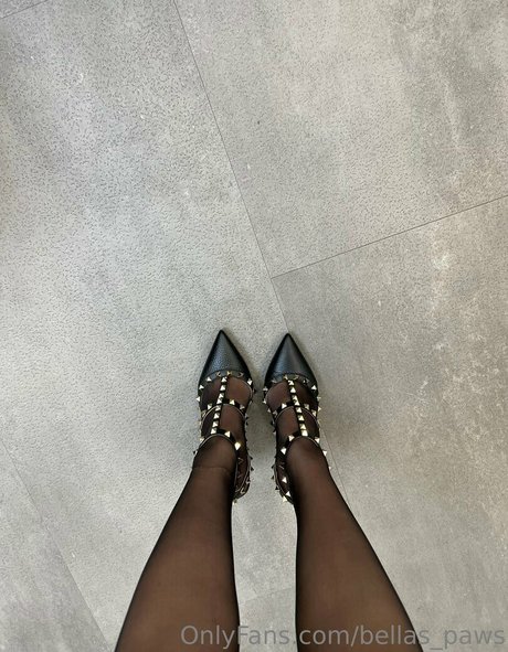 bellas paws feet onlyfans