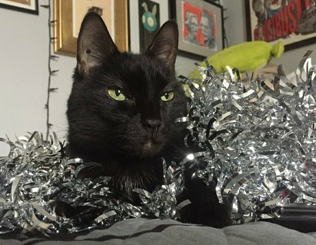 mochi fett naked onlyfans