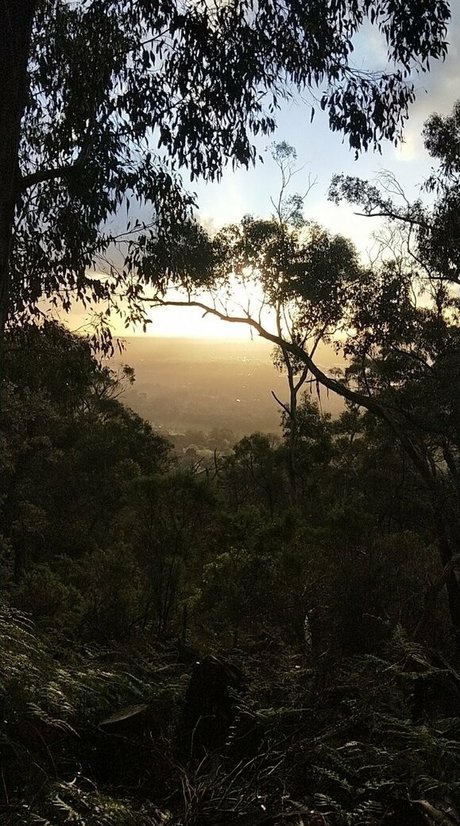 heidivfree nude on onlyfans