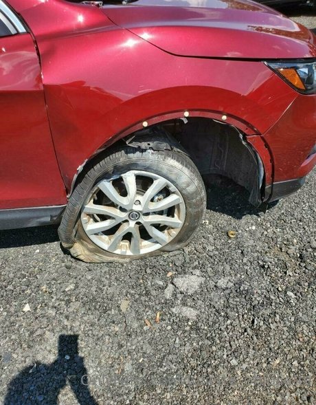 juliette ohjuliette Profile pic