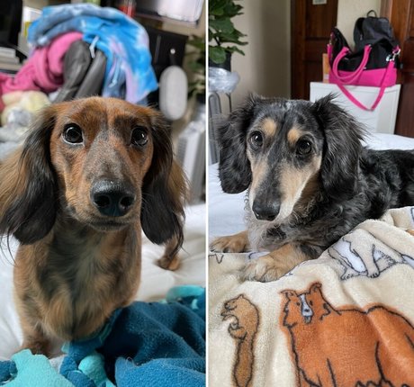 therustyranger onlyfans nude tits