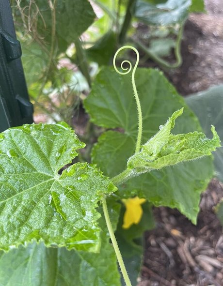 therustyranger onlyfans mega