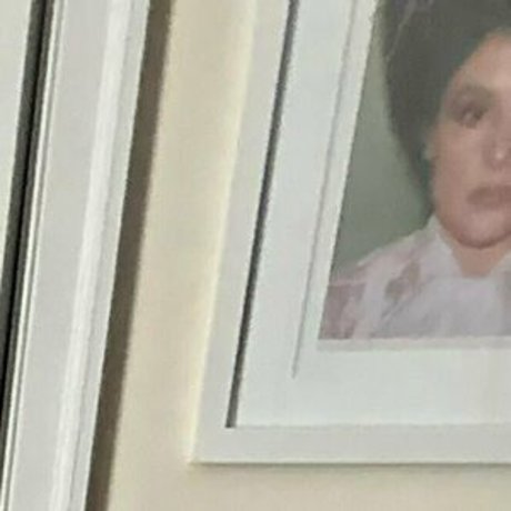 thenorthmen fans only