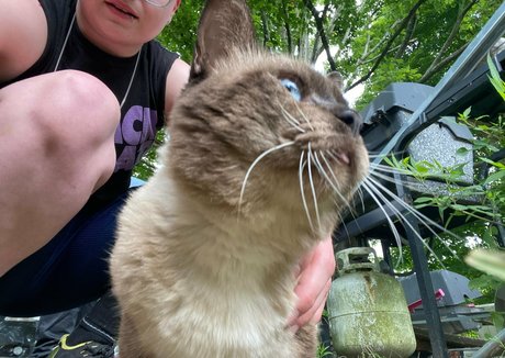 Spellbound free onlyfans