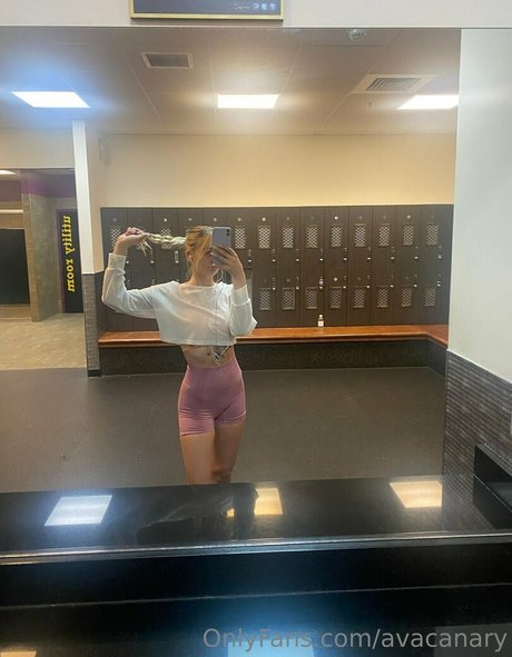 avacanary onlyfans joi