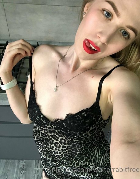 whiterrabitfree onlyfans nude pictures
