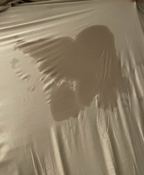 bellabeloved3 onlyfans fuck