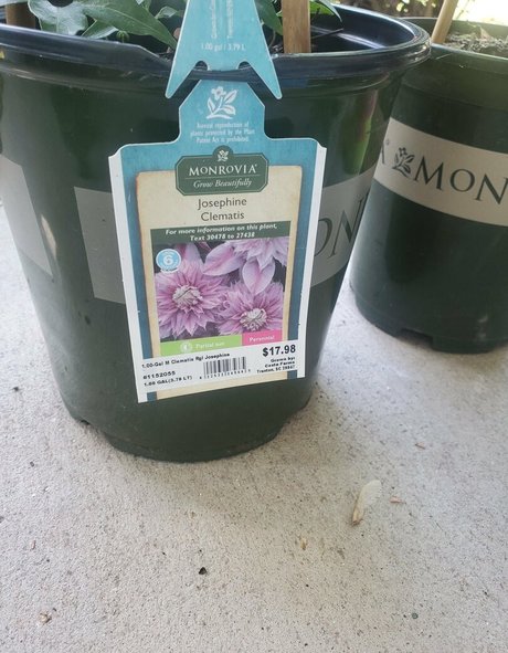 bee88i nudes onlyfans leaks