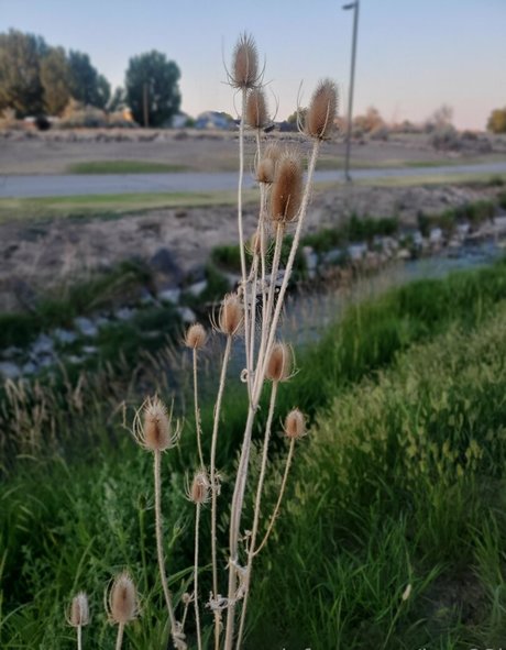 bee88i onlyfans naked pics