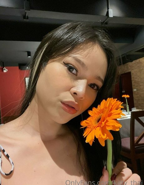 kittysphinxvipasian on onlyfans