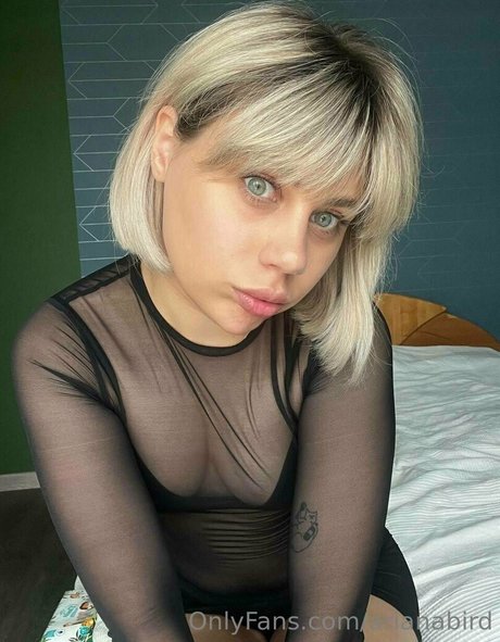 arianabird onlyfans model photos