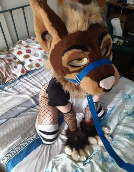 neflynxad onlyfans photo