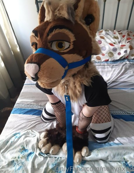 neflynxad naked only fans