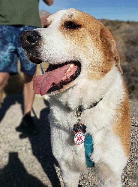 danikajones420free onlyfans mega