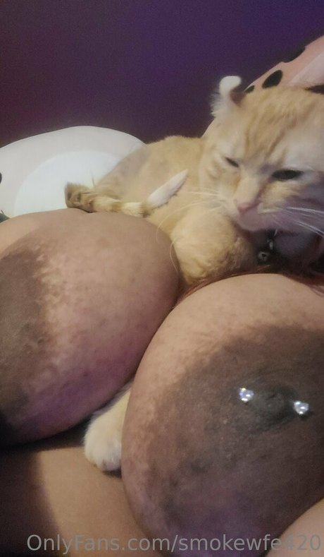 smokewfe420 onlyfans content type